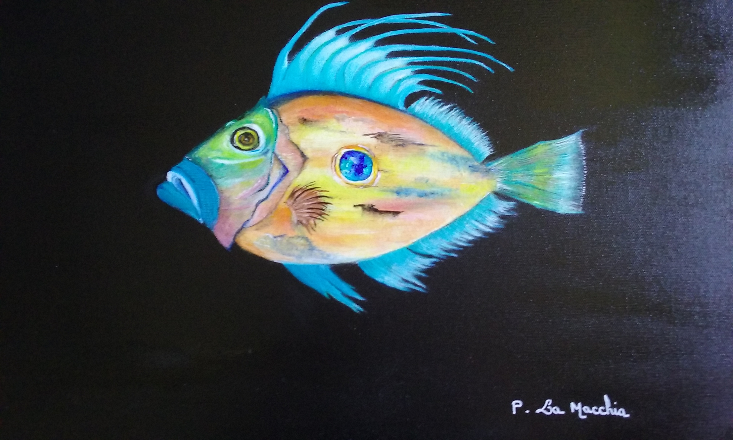 poissonspierre